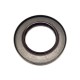 SEALING RING 11102883